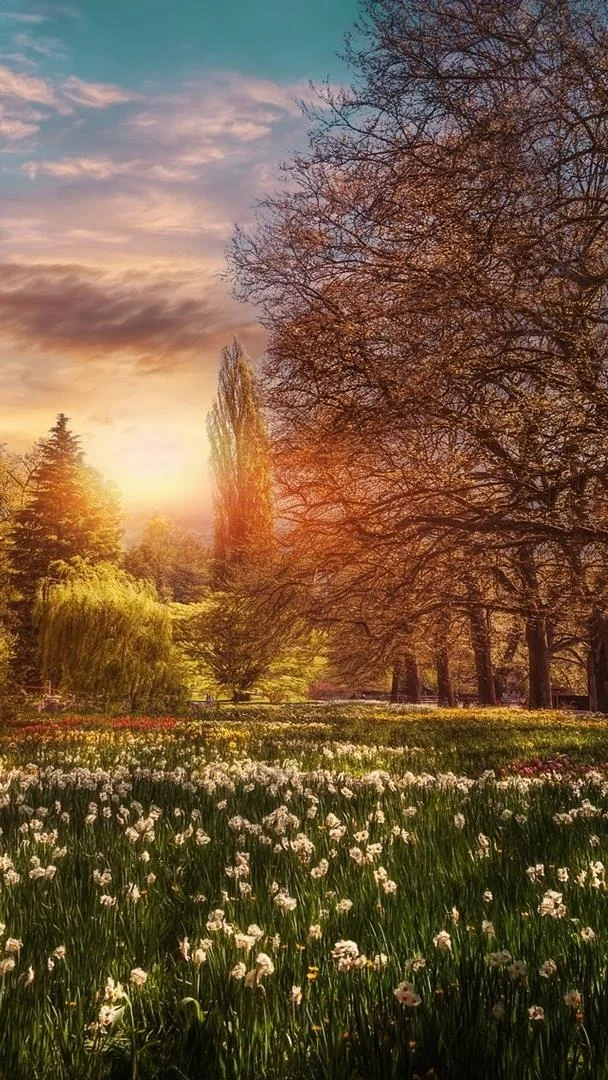 Koleksi wallpaper telefon Oppo yang paling indah