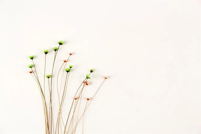 Top 50 en güzel beyaz duvar kağıdı resimleri