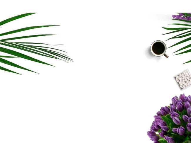 Top 50 en güzel beyaz duvar kağıdı resimleri