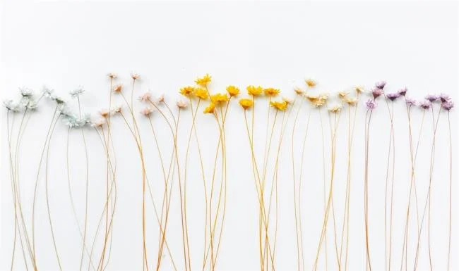 Top 50 en güzel beyaz duvar kağıdı resimleri