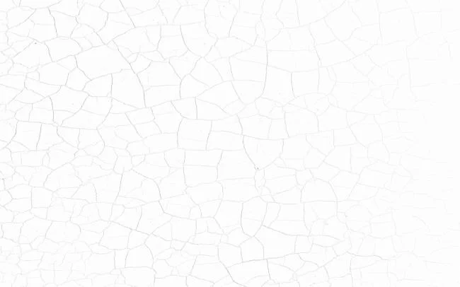 Top 50 en güzel beyaz duvar kağıdı resimleri