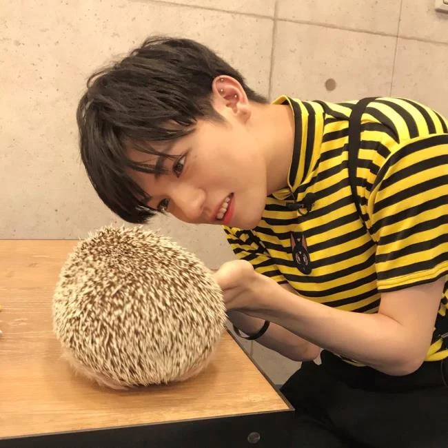 Gambar teratas Boy Hot Korea yang paling tampan hari ini