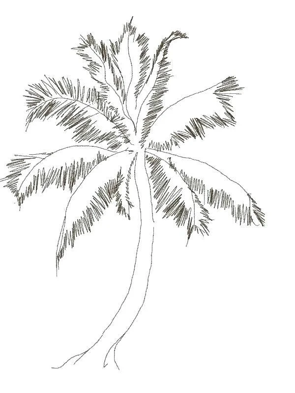 Koleksi gambar pewarna kelapa yang paling indah untuk kanak-kanak