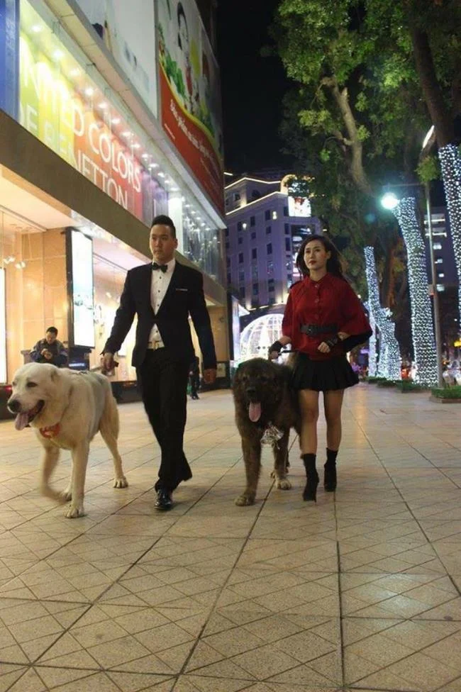 Ringkasan anjing Alabai yang paling cantik