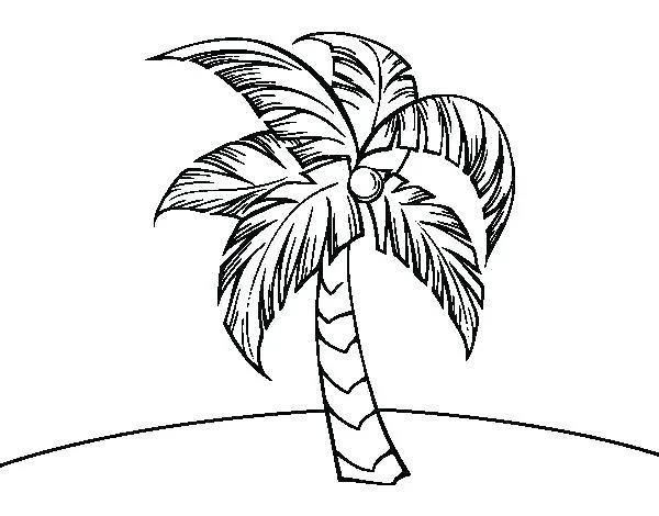 Koleksi gambar pewarna kelapa yang paling indah untuk kanak-kanak