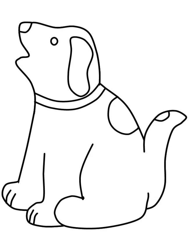 Koleksi gambar pewarna anjing yang paling indah