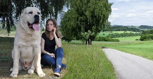 Ringkasan anjing Alabai yang paling cantik