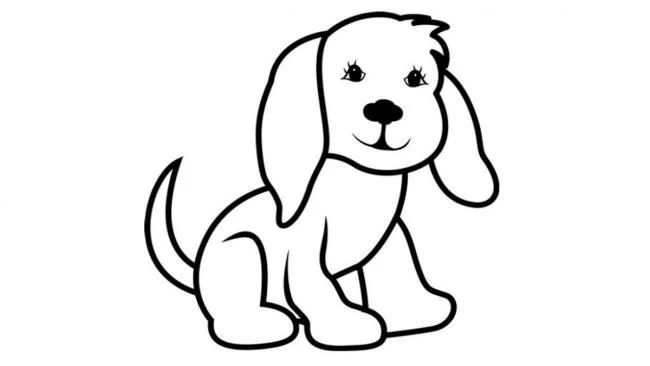 Koleksi gambar pewarna anjing yang paling indah