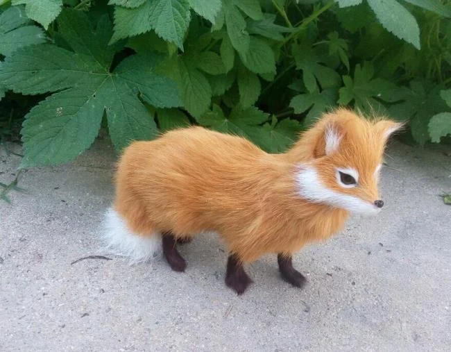 En güzel tilki resim koleksiyonu