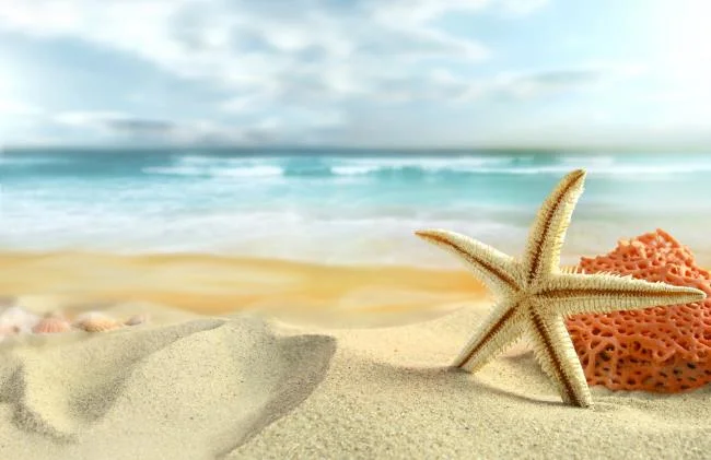 Gambar bintang laut yang cantik dan comel
