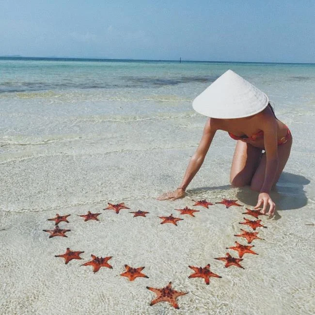 Gambar bintang laut yang cantik dan comel