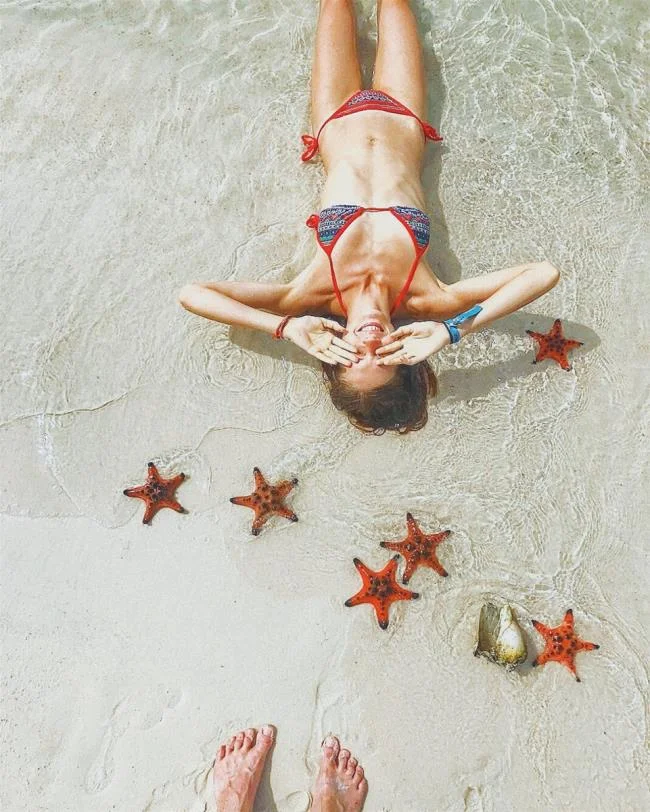 Gambar bintang laut yang cantik dan comel