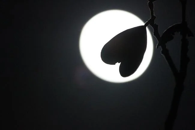 Koleksi gambar bulan yang paling indah