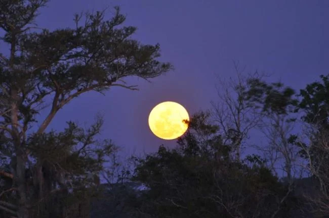 Koleksi gambar bulan yang paling indah