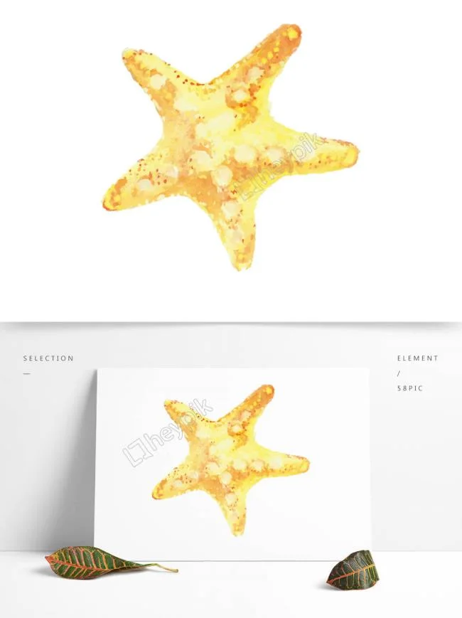 Gambar bintang laut yang cantik dan comel