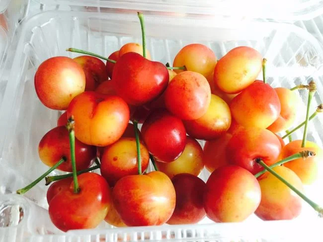 Koleksi gambar Cherry yang paling indah