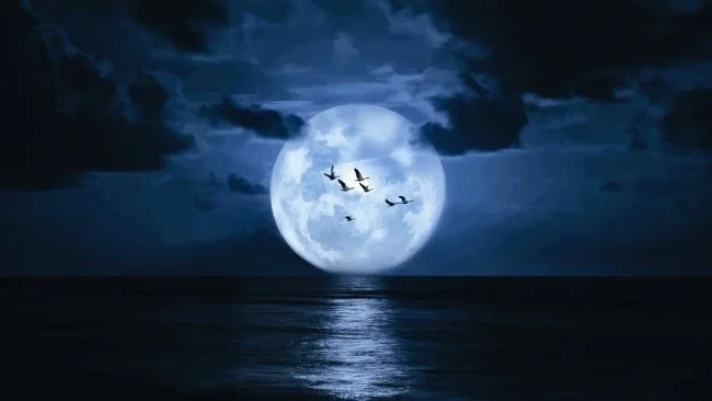 Koleksi gambar bulan yang paling indah