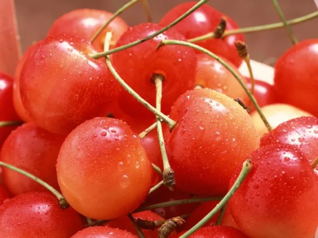 Koleksi gambar Cherry yang paling indah