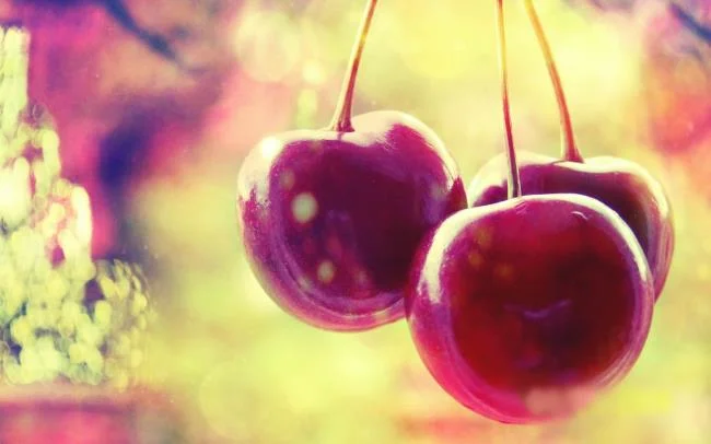 Koleksi gambar Cherry yang paling indah