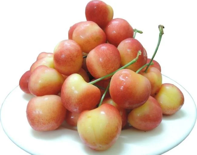 Koleksi gambar Cherry yang paling indah