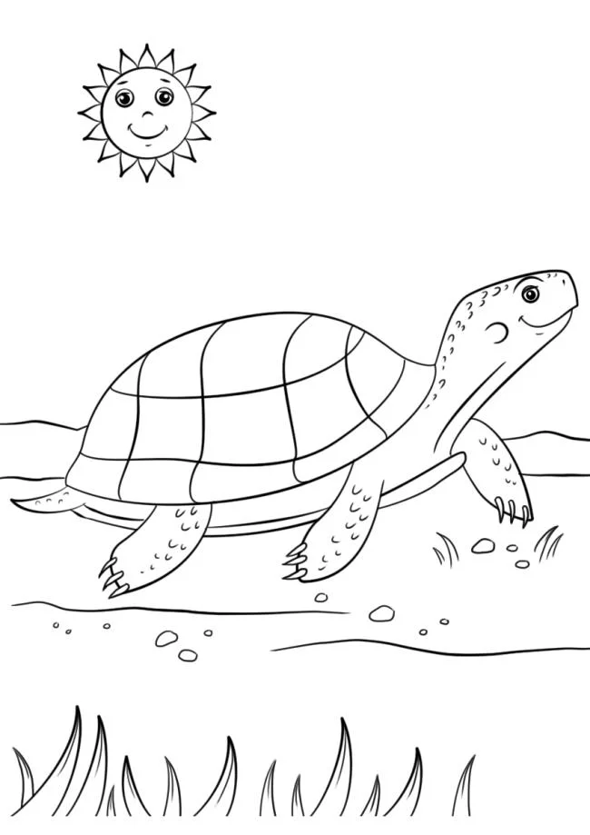 Koleksi gambar mewarnai paling indah untuk kura-kura bayi
