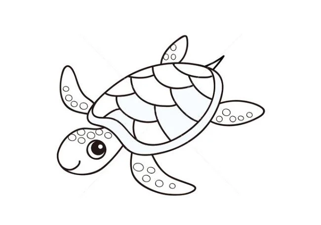 Koleksi gambar mewarnai paling indah untuk kura-kura bayi