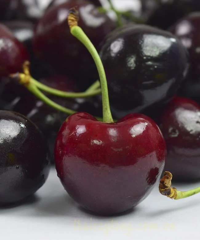 Koleksi gambar Cherry yang paling indah