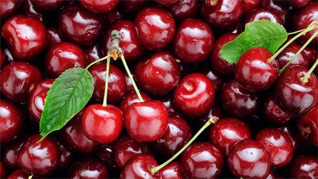 Koleksi gambar Cherry yang paling indah