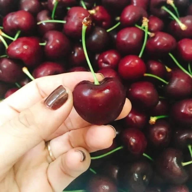 Koleksi gambar Cherry yang paling indah
