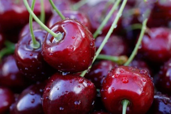 Koleksi gambar Cherry yang paling indah