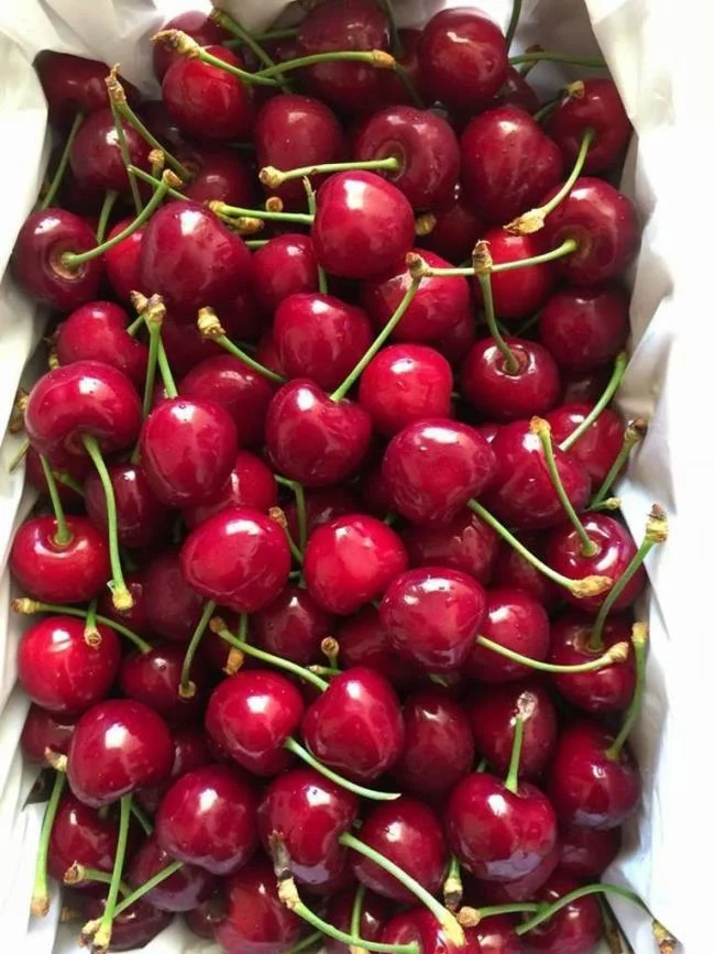 Koleksi gambar Cherry yang paling indah