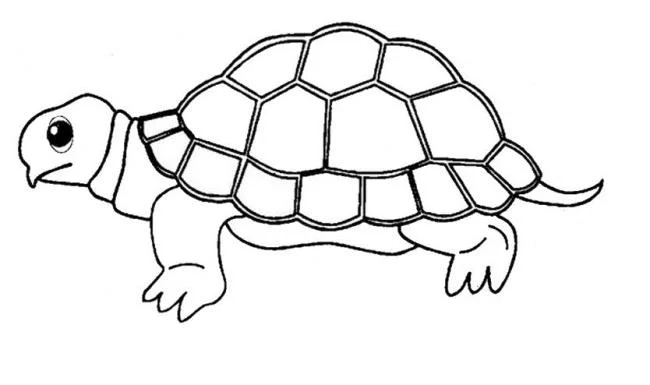 Koleksi gambar mewarnai paling indah untuk kura-kura bayi
