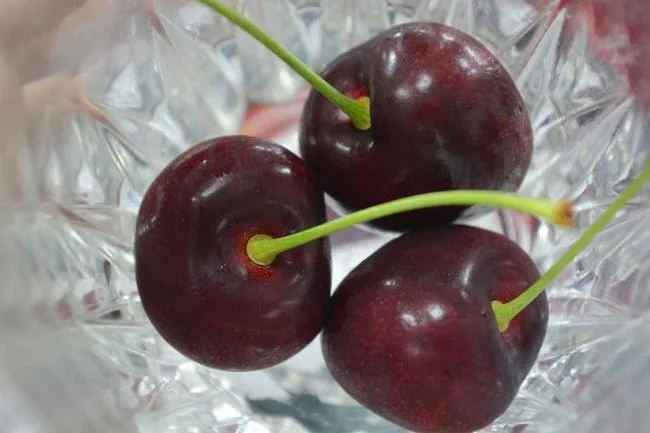Koleksi gambar Cherry yang paling indah