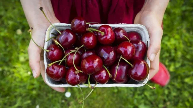 Koleksi gambar Cherry yang paling indah