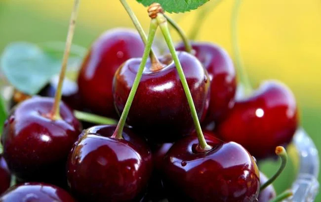 Koleksi gambar Cherry yang paling indah