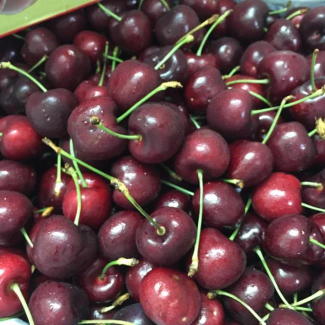Koleksi gambar Cherry yang paling indah