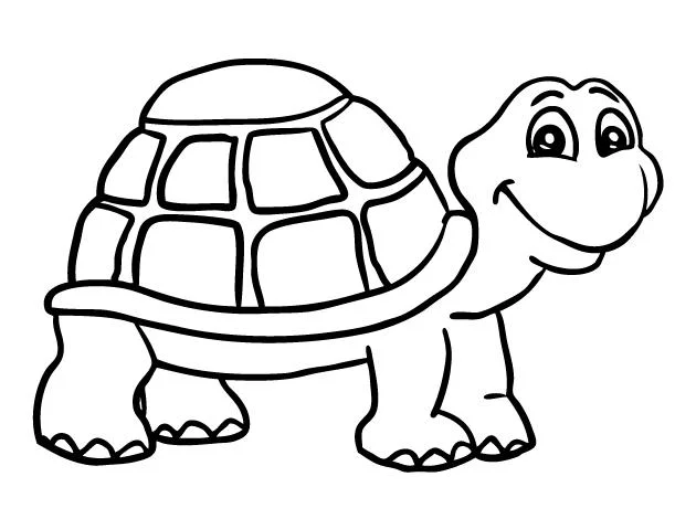 Koleksi gambar mewarnai paling indah untuk kura-kura bayi