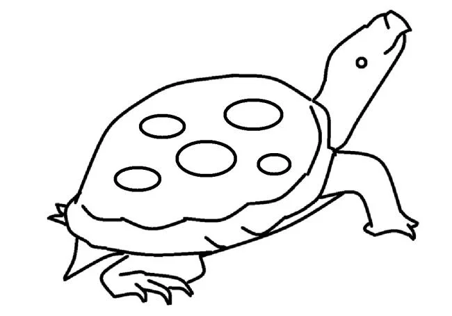 Koleksi gambar mewarnai paling indah untuk kura-kura bayi