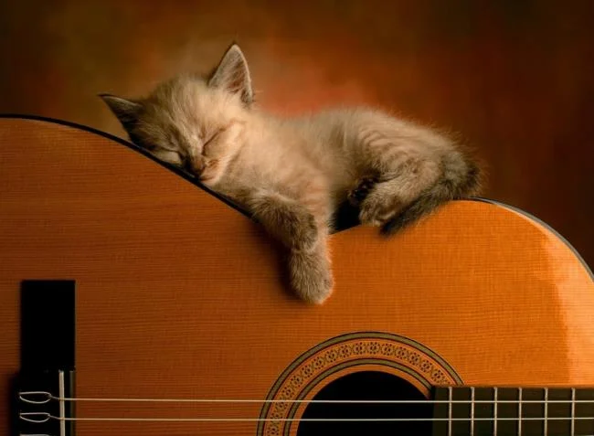 Koleksi gambar gitar yang paling indah