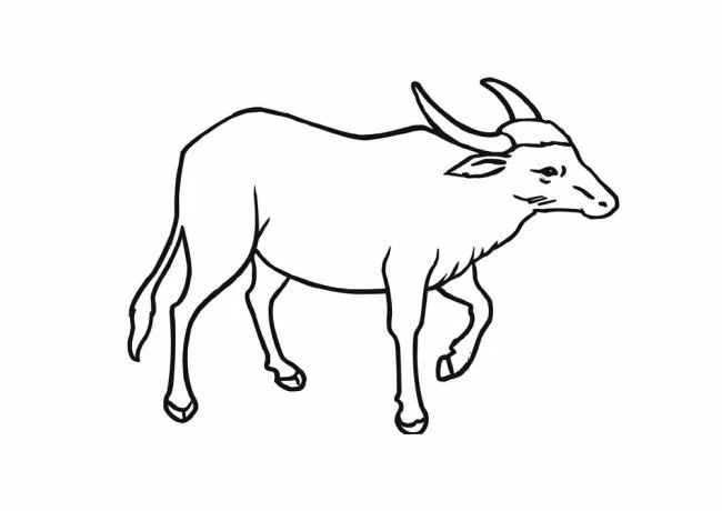 Résumé des images à colorier des animaux de compagnie dans la famille