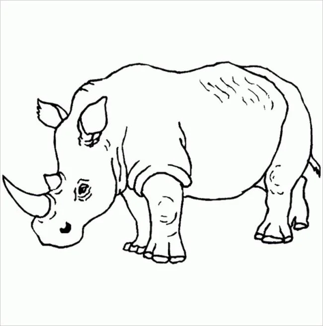 Résumé des images à colorier des animaux vivant dans la forêt