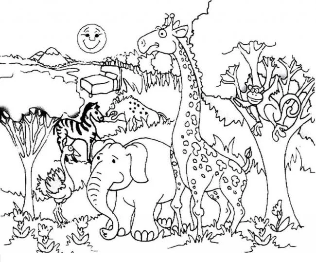 Résumé des images à colorier des animaux vivant dans la forêt