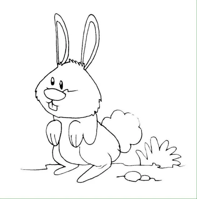 Résumé des images à colorier des animaux vivant dans la forêt