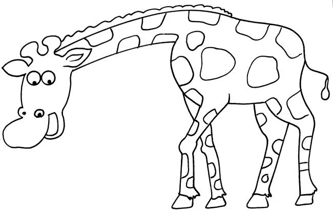 Résumé des images à colorier des animaux vivant dans la forêt