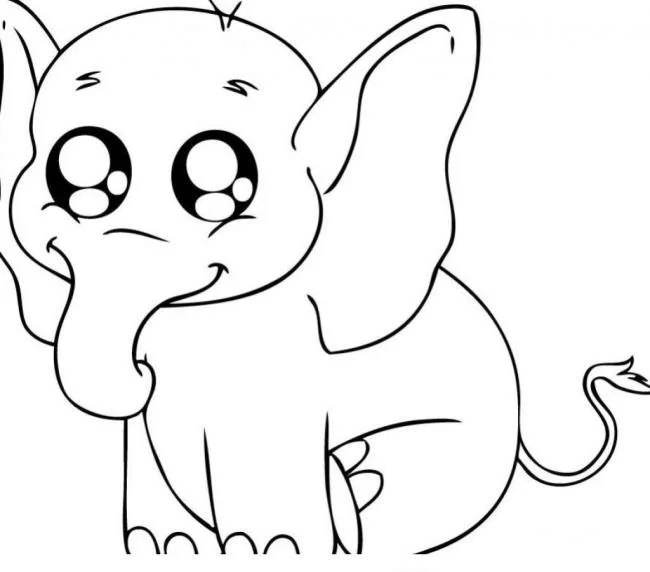 Résumé des images à colorier des animaux vivant dans la forêt