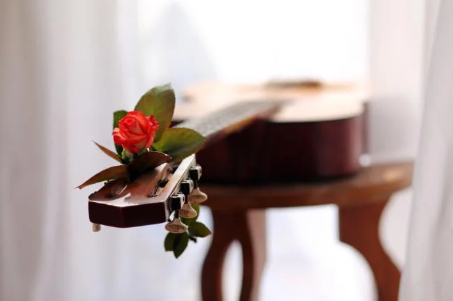 Koleksi gambar gitar yang paling indah
