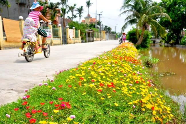 Pictures ten beautiful flowers mean