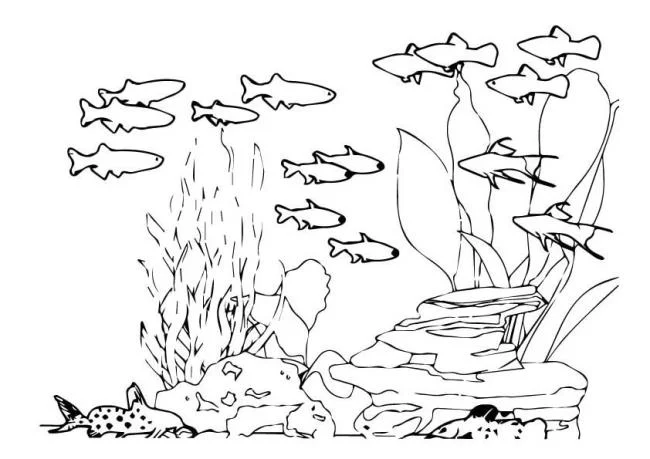 Résumé des images à colorier des animaux qui vivent sous l'eau