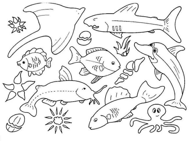 Résumé des images à colorier des animaux qui vivent sous l'eau