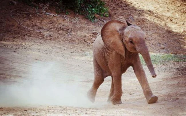 En güzel filin özeti